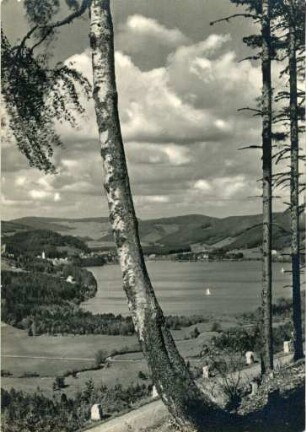 Titisee im Schwarzwald (848 mtr. ü. M.)