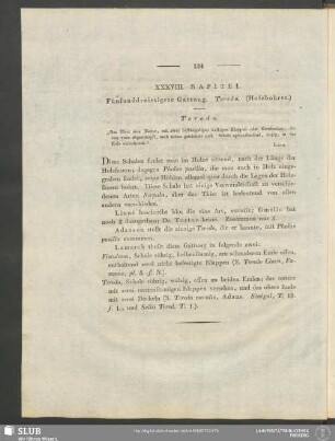 XXXVIII. Kapitel. Fünfunddreissigste Gattung. Teredo. (Holzbohrer)