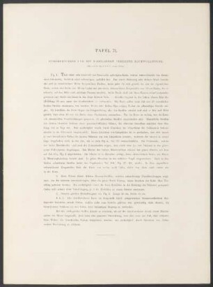 Tafel 71. - Durchbrochene und mit Nadelarbeit verzierte Baumwollstoffe.