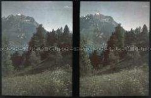 Blick von der Bergwiese Rütli am Ufer des Urnersees