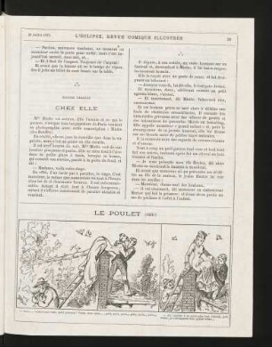 Le poulet (suite)