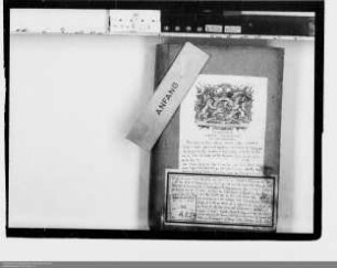 Beilegung der Ehestreitigkeiten des Johann von Seelbach, Sohn des + Heidenrich von Seelbach