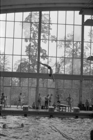 Länderkampf im Kunst- und Turmspringen zwischen Kanada und der deutschen Nationalmannschaft im Tullabad
