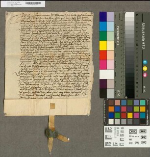 Revers des in Urk. Nr. 820 genannten Lehnträgers.
