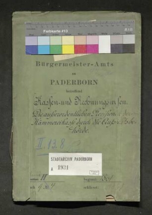 Außerordentliche Revisionen der Kämmereikasse durch die Aufsichtsbehörde