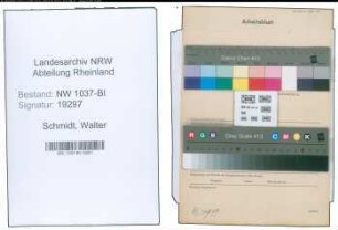 Entnazifizierung Walter Schmidt , geb. 31.10.1905 (Stadtinspektor)