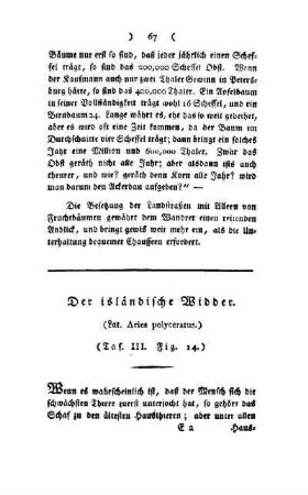 ¬Der¬ isländische Widder : (Lat. Aries polyceratus) ; (Taf. III, Fig. 14)