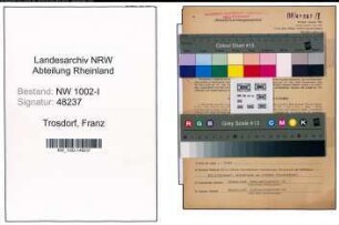 Entnazifizierung Franz Trosdorf, geb. 06.06.1912 (Abtl.Leiter)