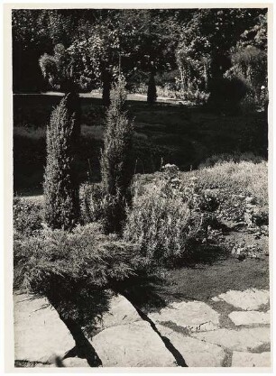 Garten Marx, Berlin-Grunewald: Gartendetail mit Stufen