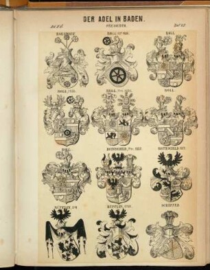 Taf. 43. Roesdorf. - Roll vor 1656. - Roll. - Roll, 1656. - Roll, Frh. 1696. -Rothschild, Fhr. 1822. - Rothschild 1817. - Rüpplin, St-W. - Rüpplin, 1722. - Schäffer.