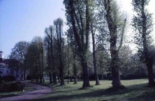 Blumendorf: Gut: Lindenreihe an Hof-Westseite: hinten links Herrenhaus