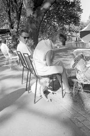Sommertag im Stadtgarten.