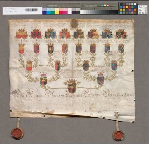 16er Wappenahnentafel der Maria Elisabeth und der Maria Theresia Reichsfürstinnen zu Liechtenstein. Bestätigt durch Maximilian Heinrich Erzbischof zu Köln, Philipp Wilhelm Pfalzgraf bei Rhein, Berthold Graf zu Königsegg Rothenfels, Franz Egon Graf zu Fürstenberg-Heiligenberg-Wassenberg. Mit den 4 Unterschriften. 1 Siegel in Holzkapsel (von 4) erhalten.