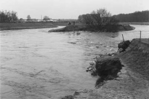 Ausgespültes Ufer : Das durch Hochwasser ausgespülte Ufer der Weißen Elster