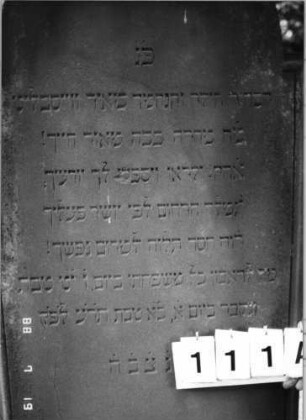 Grabstein 111 (Index: 100094201) Material: Sandstein Zustand: gesprungen, unten abgeblättert Maße HxBxT: 165x78x11 cm Beschreibung: Stele, eingezogener Rundbogenabschluß, profilierter Rand Besonderheit: gereimter 4-Zeiler: Grabstein 111A