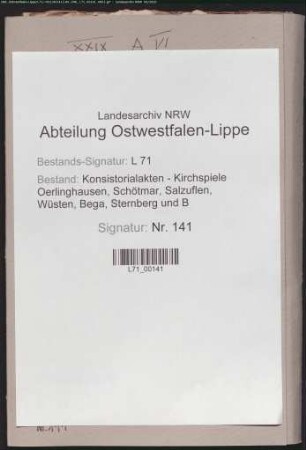 Einkünfte und Besitzungen von Kirche und Pastorei (auch: Rektor, Konrektor, Kantor und Küster)