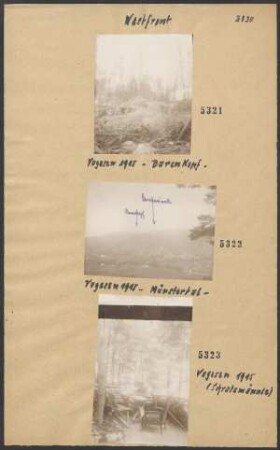 Vogesen 1915 - Münstertal