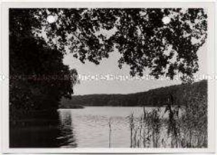 Berlin, Schlachtensee
