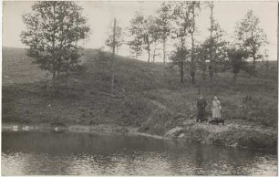 Spaziergänger mit Hunden (Europa?)