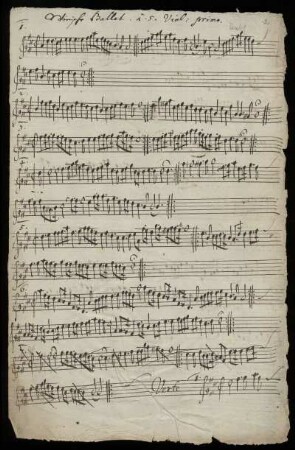 Viol. primo