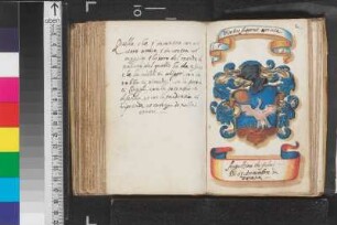 Felici, Augustino de; Blatt 177