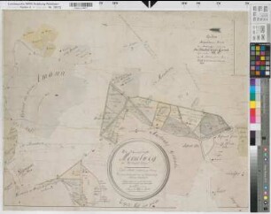 Lienen (Lienen), Teilung der Meckelweger Mark, Brouillonkarte Bauerschaft Meckelwege, Grenzstreit mit der Bauerschaft Aldrup
