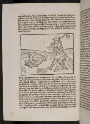 Der Hausherr mit der Axt auf der Lauer vor dem Schlangenloch; (Kapitel IV: Von der Taube und von treuen Gefährten)