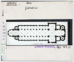 Worms: Dom, Grundriss