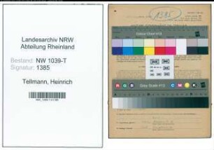 Entnazifizierung Heinrich Tellmann , geb. 18.02.1906 (Handelsvertreter)