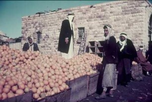 Reisefotos. Männer mit Orangenkisten (im arabischen Raum)