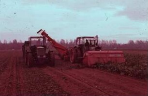 Fotografie: Erntetechnik, Zuckerrübe, Zuckerrübenköpfrodelader, Frontköpfer, Parallelverfahren