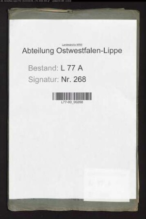 Jurisdiktionsstreitigkeiten zwischen dem herrschaftlichen Richter (sp. Stadtgericht) und dem Magistrat zu Lage