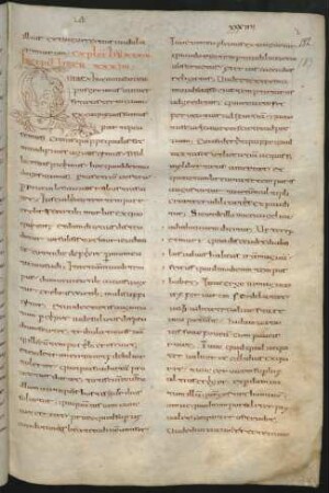 Liber XXXIV