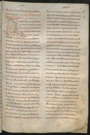 Liber XXXIV