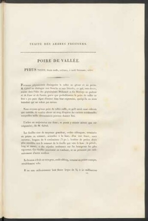 Poire De Vallée. Pyrus Vallis ...