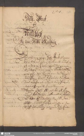 Saltz-Werck bey Teutitzsch in dem Stiffte Merseburg