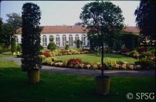 Potsdam, Neuer Garten, Sommerbepflanzung im Blumengarten vor der Orangerie.