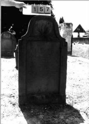 Grabstein 157 (Index: 99798022) Material: Sandstein, rot Zustand: leicht verwittert Maße HxBxT: 112x62x10 cm Beschreibung: Stele, geschweifter Abschluß Symbolik: Palmwedel: Grabstein 157