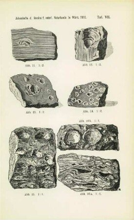 Tafel VII