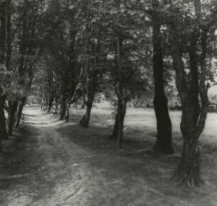Park, Gönnsdorf