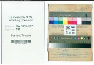 Entnazifizierung Therese Stamen , geb. 07.03.1888 (Lehrerin)