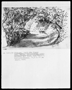 Waldweg mit Bank