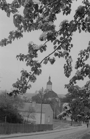 Blick auf ein thüringisches Dorf mit Kirche, im Vordergrund ein blühender Baum
