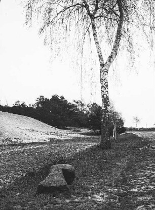 Liegendes Steinkreuz : Wahrenbrück, liegendes, zerbrochenes Steinkreuz am Sandberge vor dem Ort am Weg nach Winkel