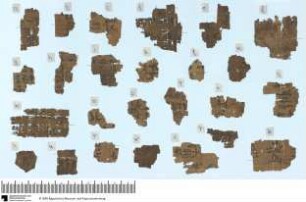 Hieratischer Papyrus, Famiienarchiv, Altes Reich
