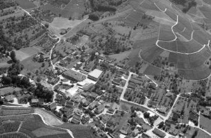 Durbach: Winzergenossenschaft