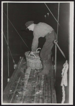 Beim Löschen des frischen Fangs am Fischereihafen Hamburg-Altona