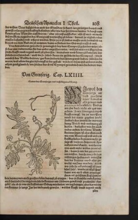 Von Grenferig. Cap. LXIIII.
