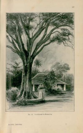 Landhaus in Batavia