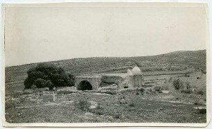 nebi oscha'